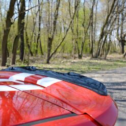Spoiler Cap V.1 Ford Fiesta ST Mk6