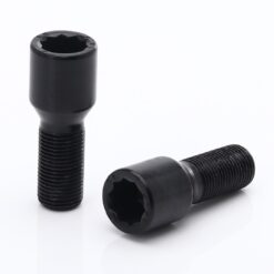 Jante Vesser Tuner Bolts x ET -
