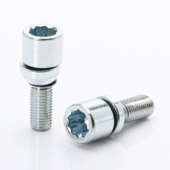Jante Vesser Tuner Bolts x ET -