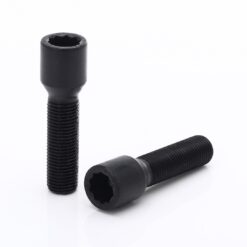 Jante Vesser Tuner Bolts x ET -